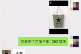 年前要賬信息怎么發?高效溝通技巧大揭秘 年前要賬信息怎么發?高效溝通技巧大揭秘